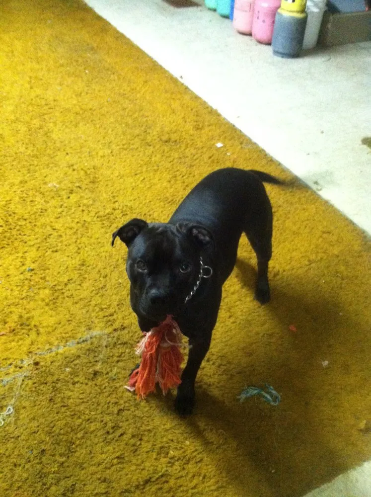 Slide of Emerson Heating and Cooling