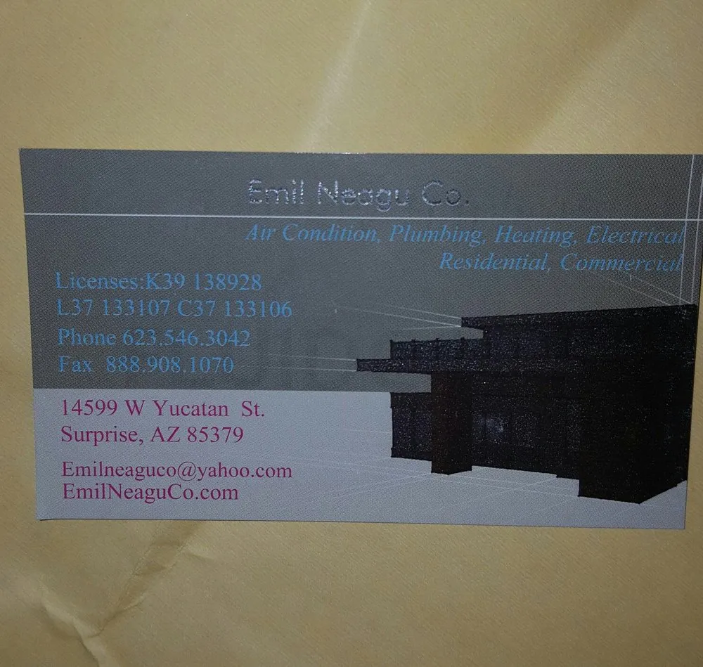 Slide of Emil Neagu Co