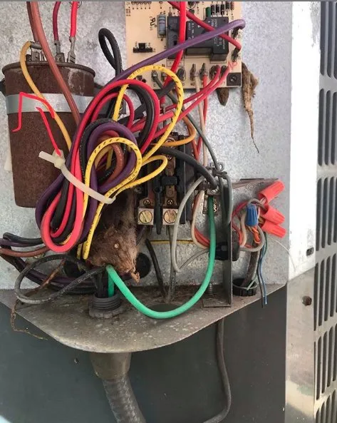 Slide of Empire Air Solution