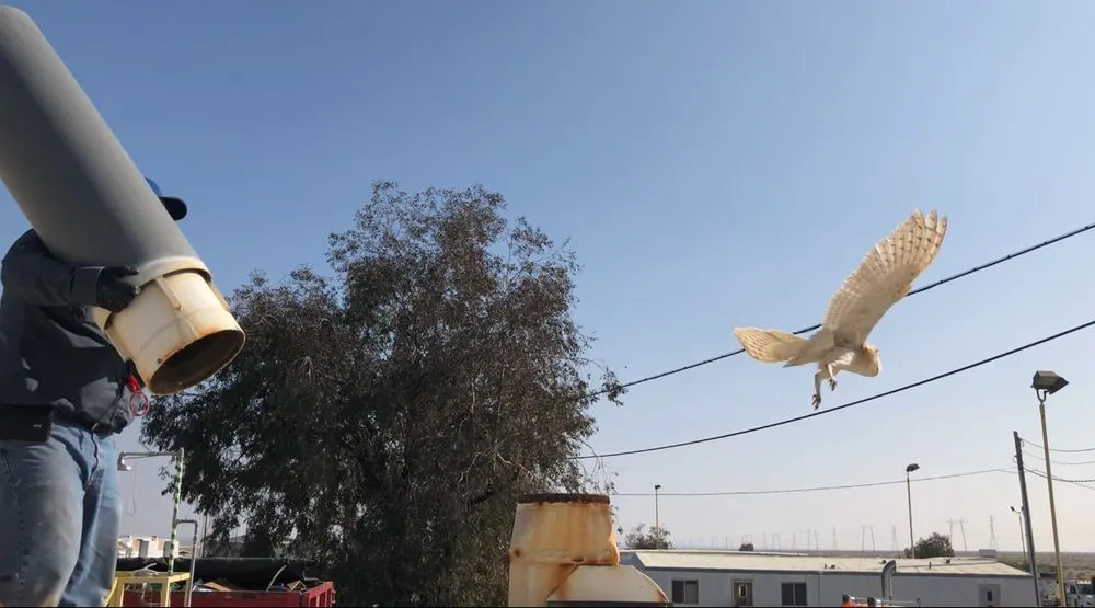 Slide of Empire Heating and Cooling