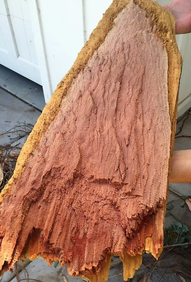 Slide of Empire Services West