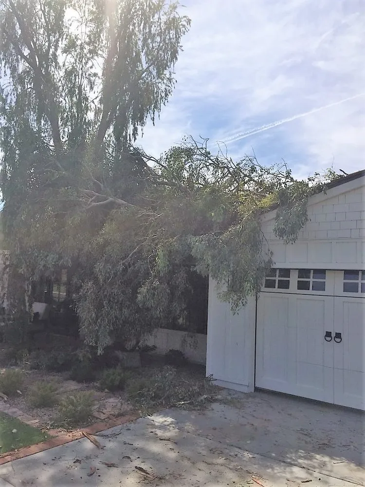 Slide of Empire Services West