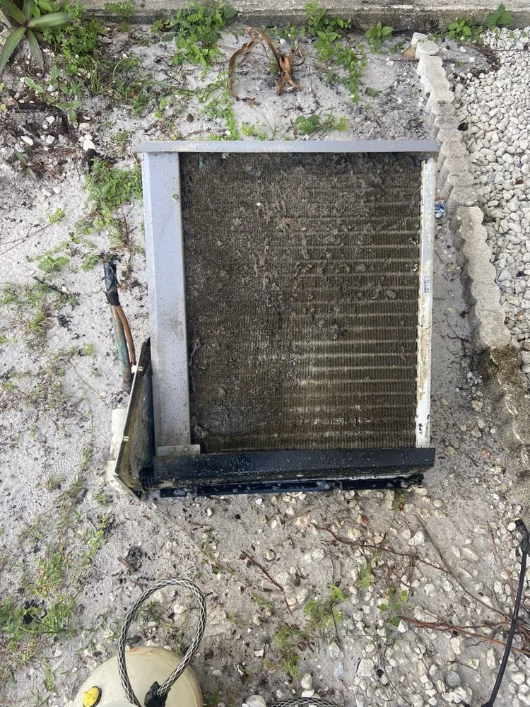 Slide of Empire Vision