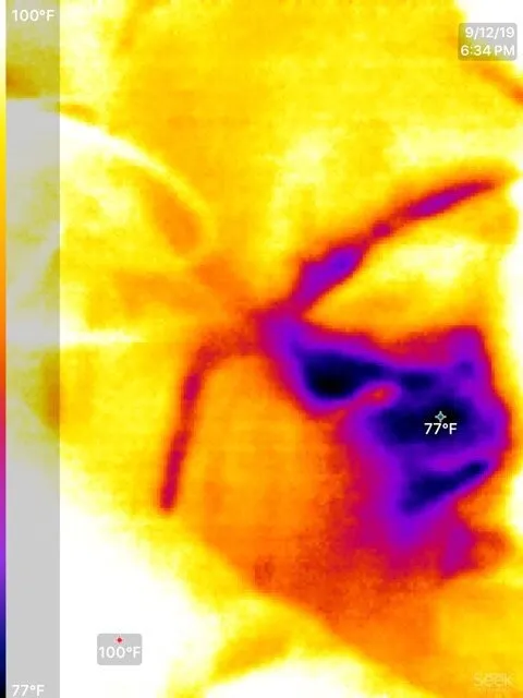 Slide of Empowered Renovations