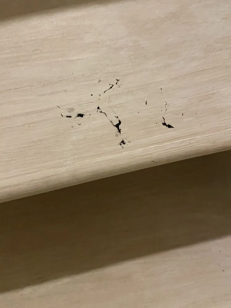 Slide of EMS Home Services