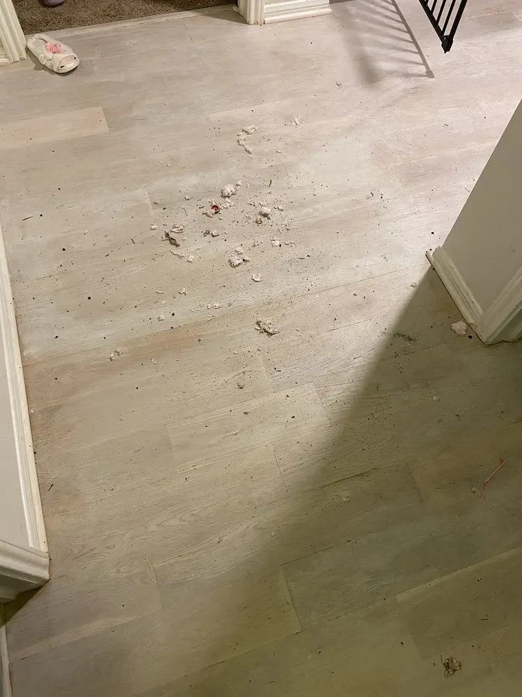 Slide of EMS Home Services