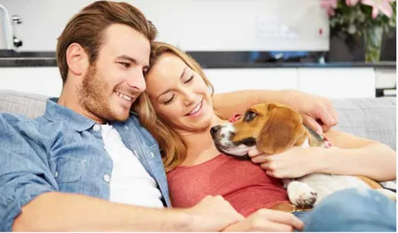 Energy Experts A/C & Solar Logo