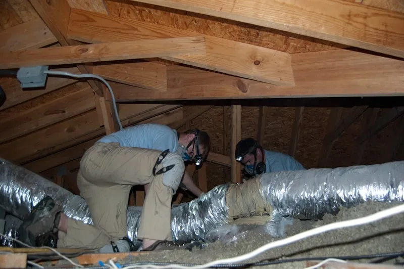 Slide of Energy Guys