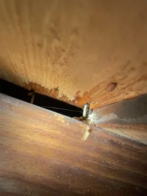 Energy Renovation Center Logo