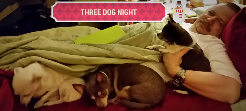 Slide of Energy Savers