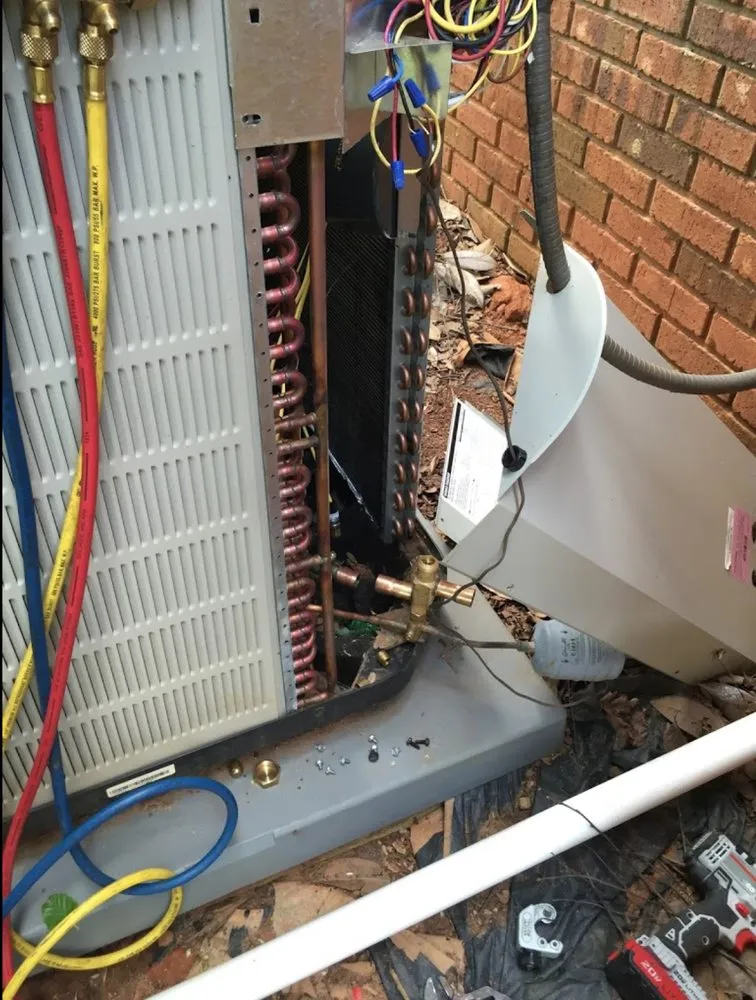 Slide of Energy Sharks