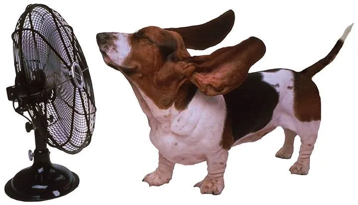 Slide of Engineered Comfort Specialist