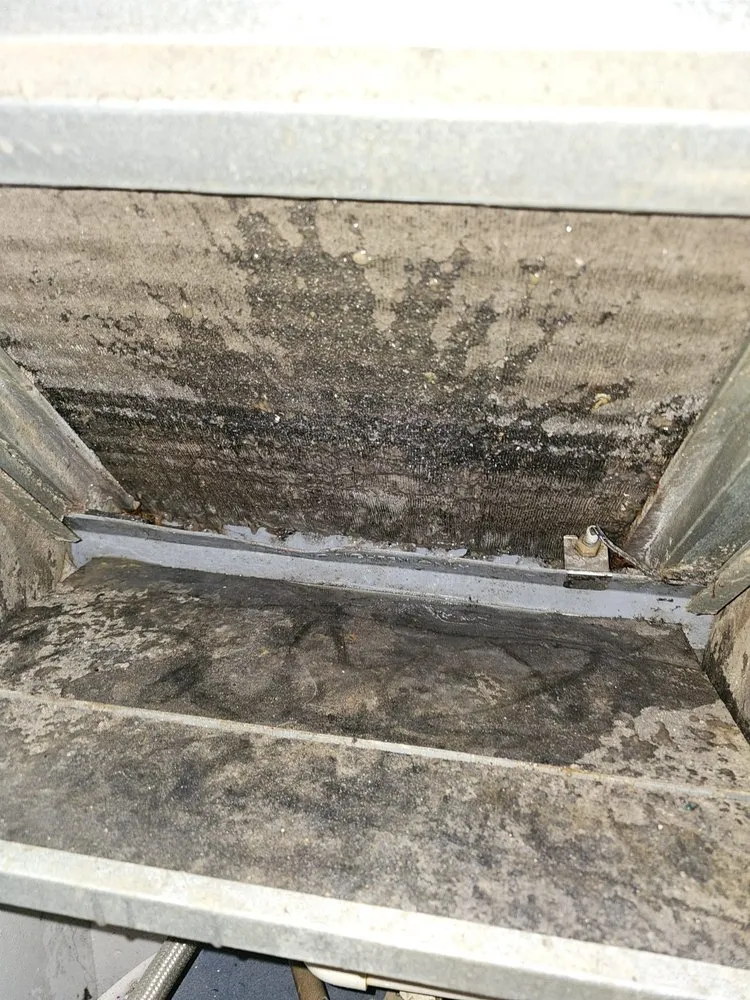 Slide of Enrich Services