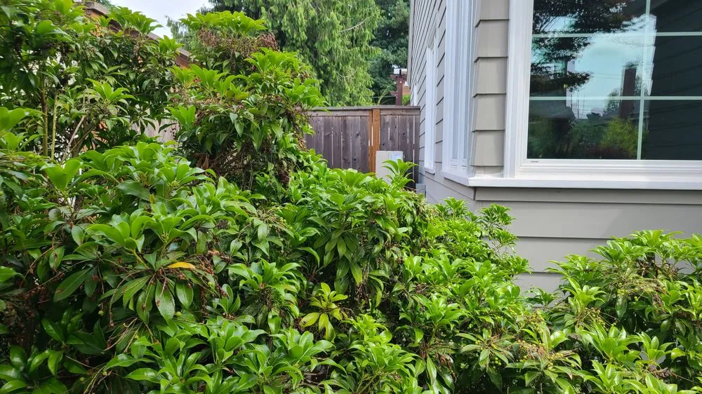 Slide of Entek Corporation