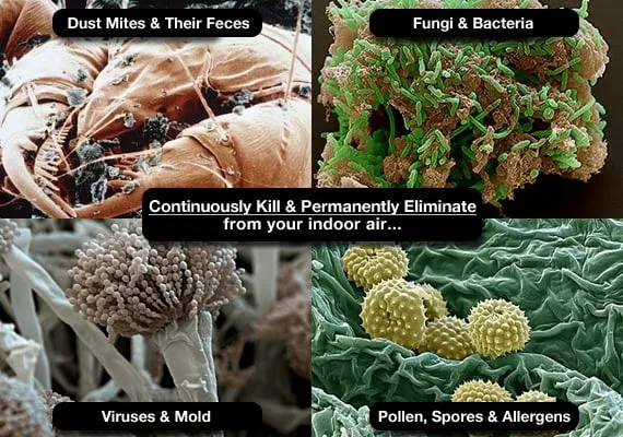 Slide of Enviro Home Solutions