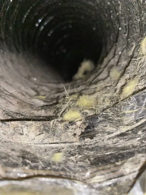 Slide of Envirogreen Restoration