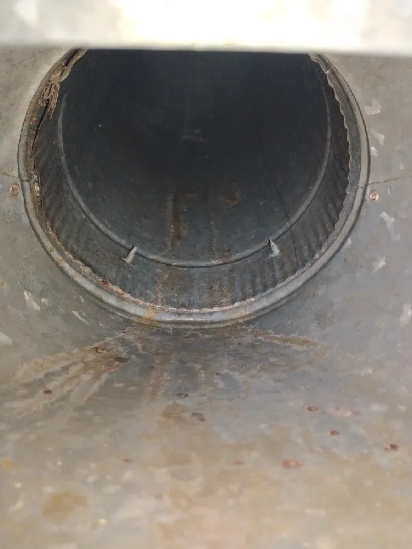 Slide of Envirogreen Restoration