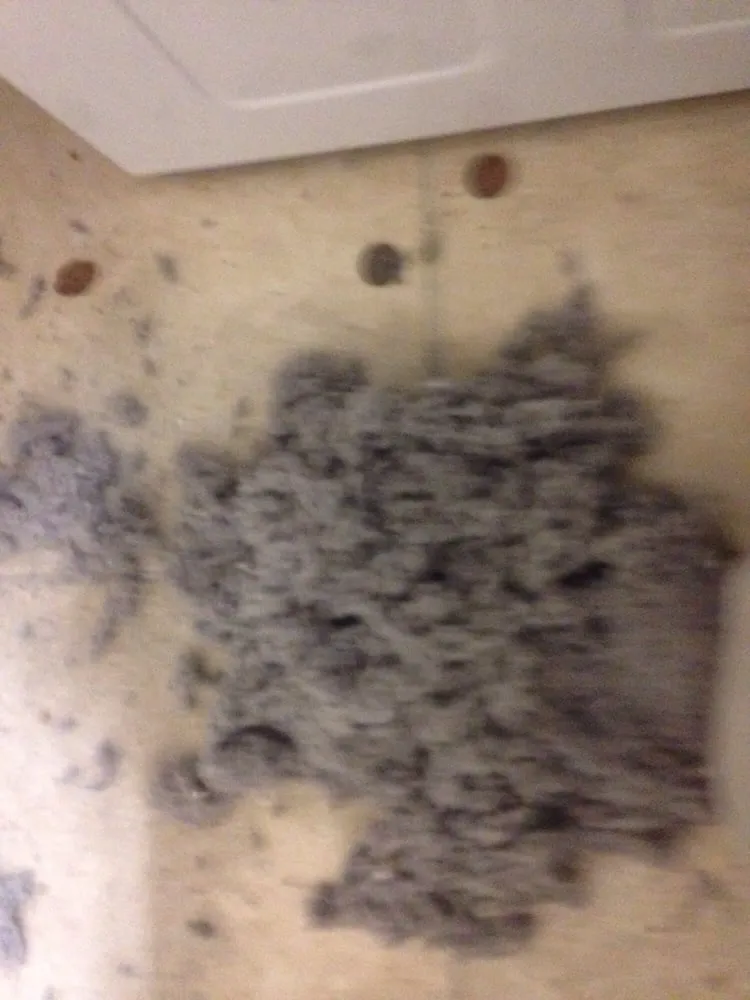 Slide of Environmental Air Force