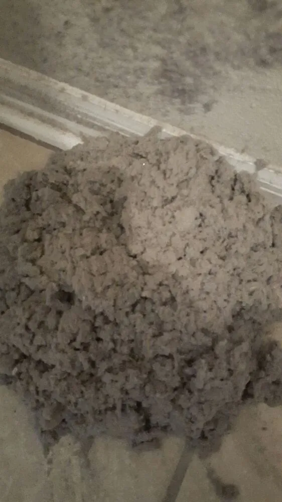 Slide of Environmental Air Force