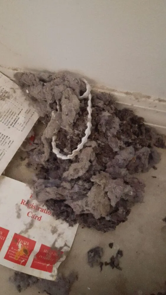 Slide of Environmental Air Force