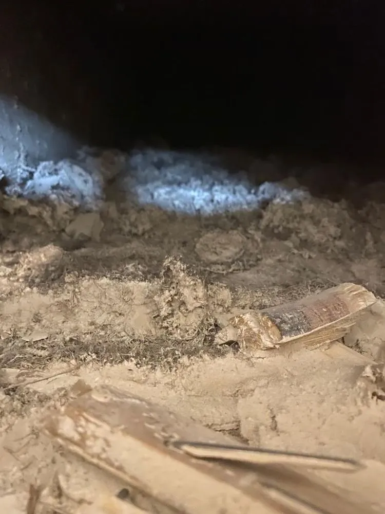 Slide of Environmental Air Specialists