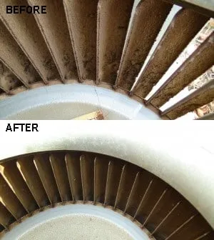 Slide of Environmental Cleaning Solutions