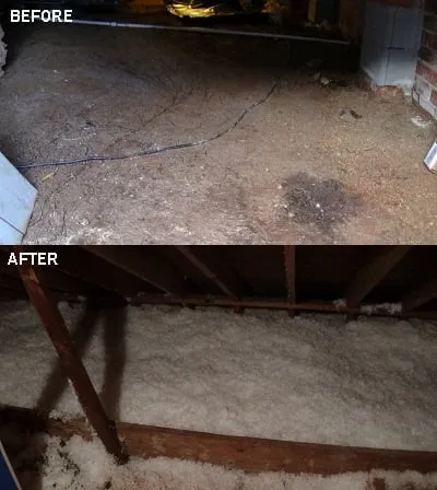 Slide of Environmental Cleaning Solutions