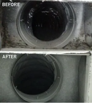 Slide of Environmental Cleaning Solutions