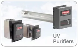 Slide of Environmental Design System