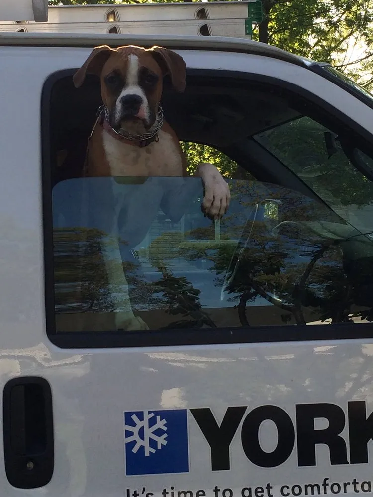 Slide of Environmental Heating and Cooling