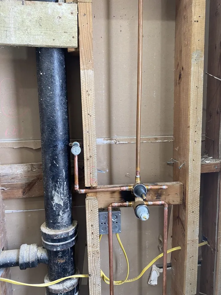 Slide of E.P.D.O cérvisis