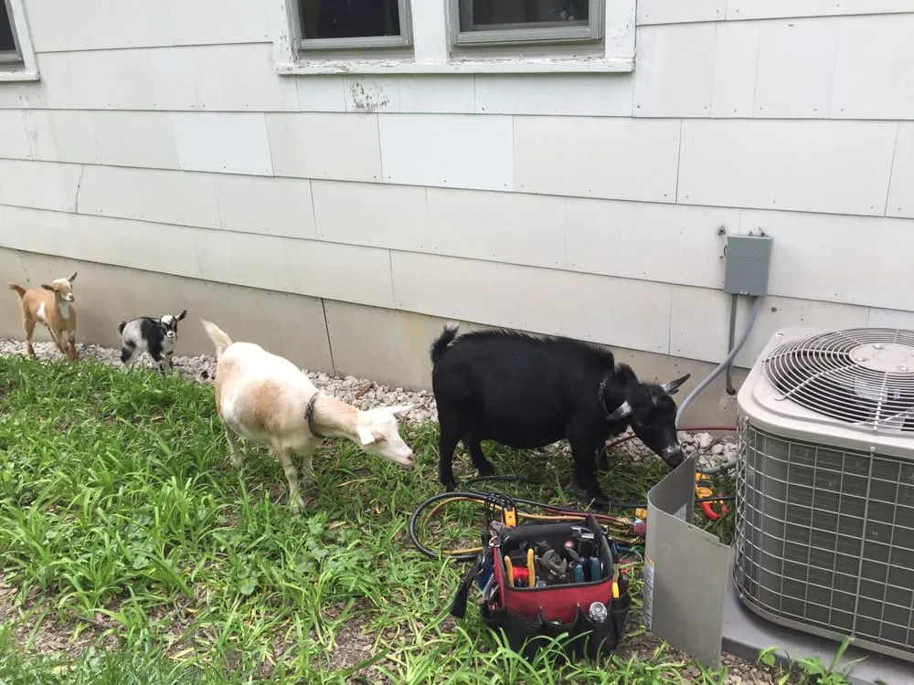 Slide of Epic Heating & Cooling