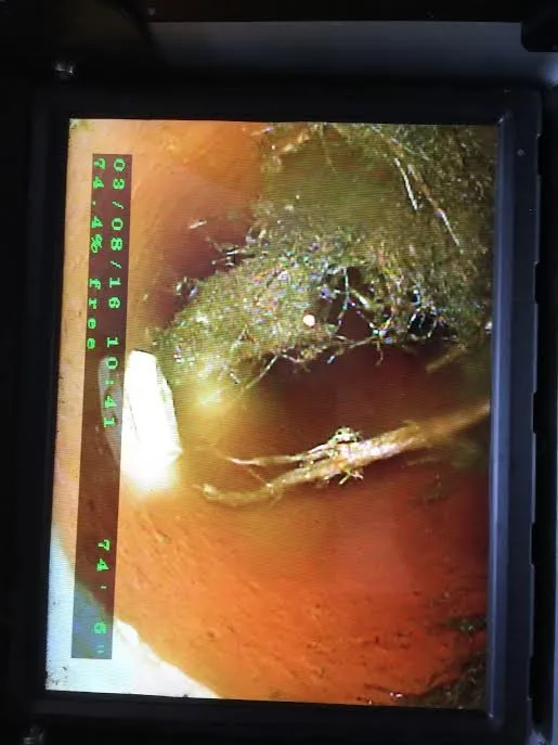 Slide of Equisure Inspectors