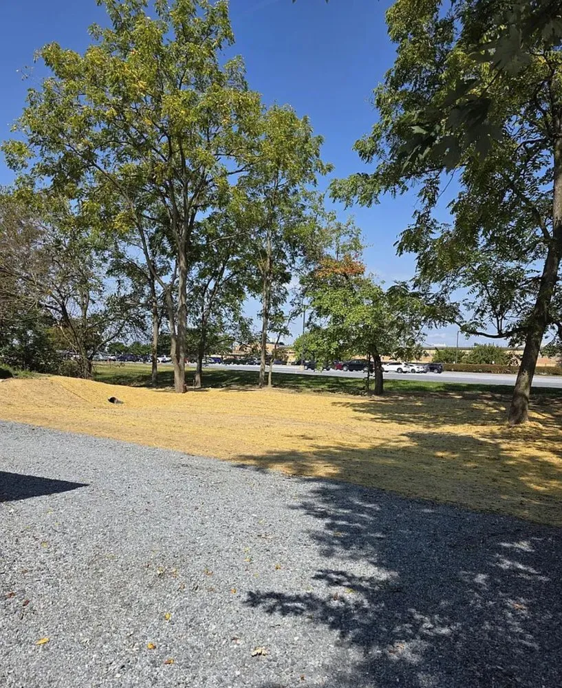 Slide of Erly Property Services