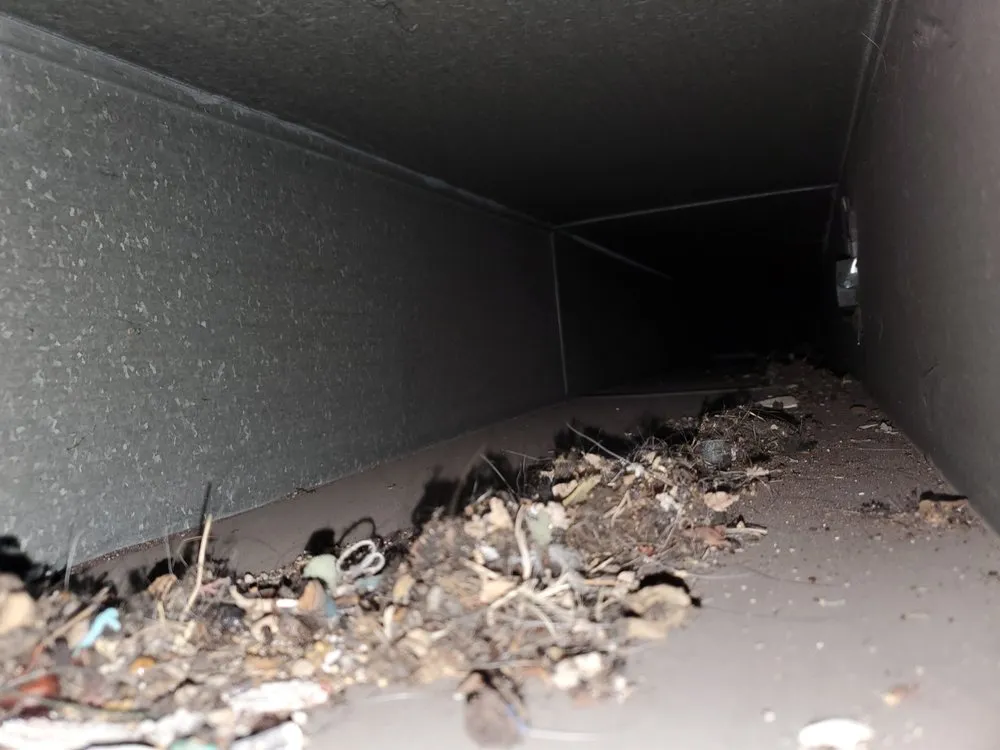 Slide of Essential Air Care