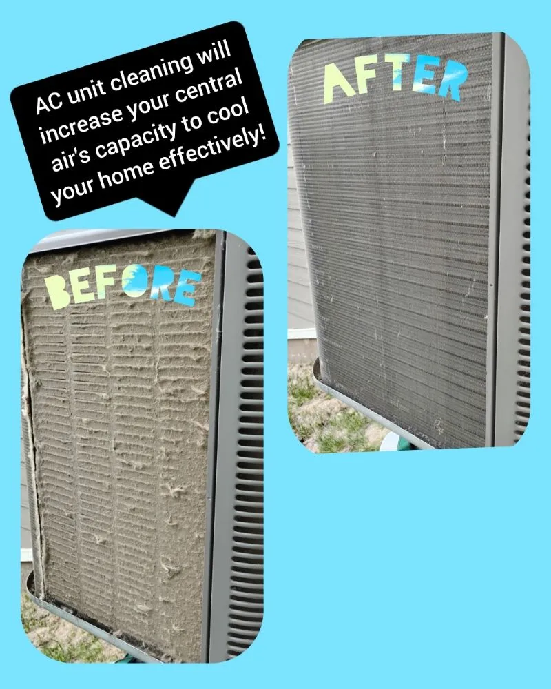 Slide of Essential Clean