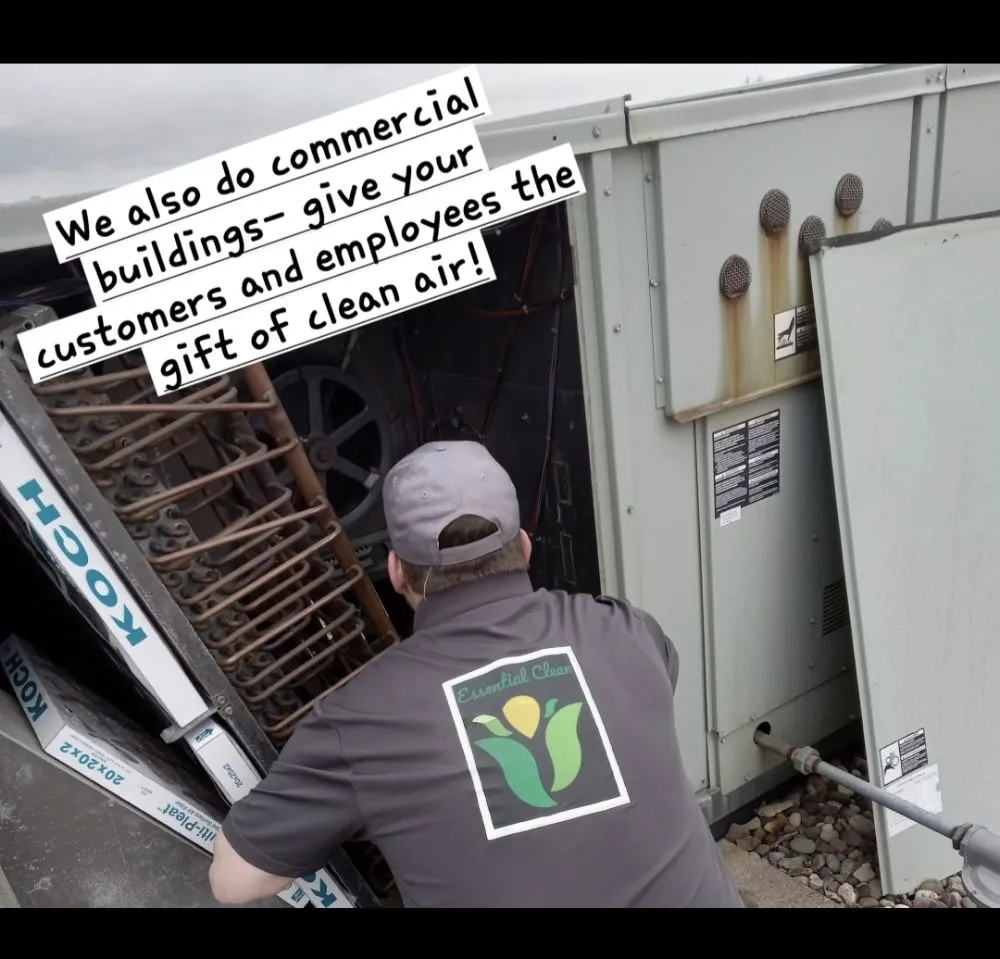 Slide of Essential Clean