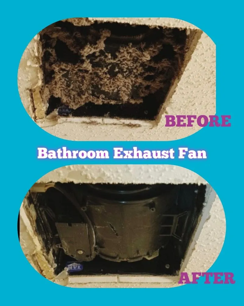 Slide of Essential Clean