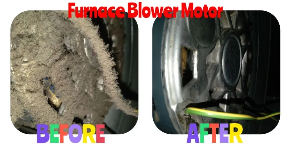 Slide of Essential Clean