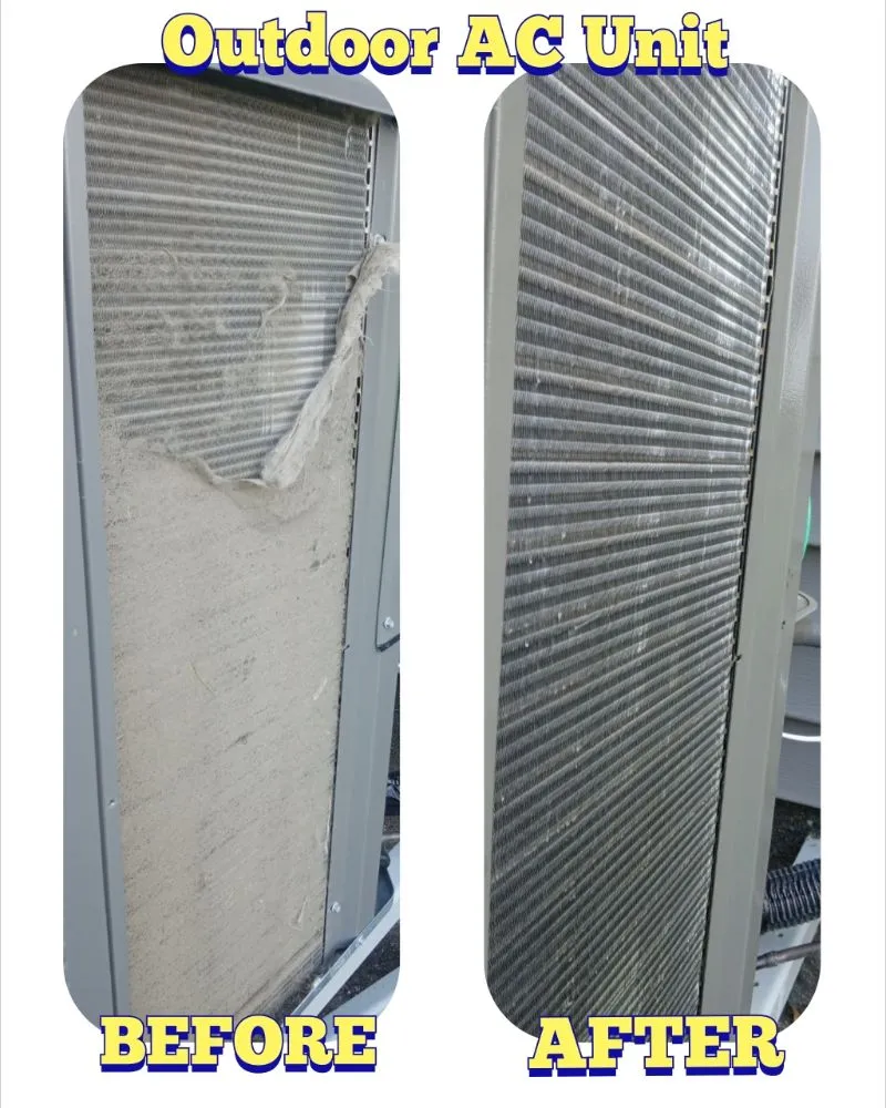 Slide of Essential Clean