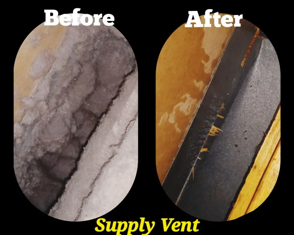 Slide of Essential Clean