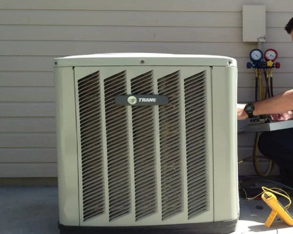 Slide of Essential Myriam Group