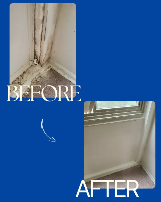 Slide of Estate Upkeep