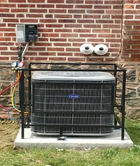 Slide of Ester Pros Growing