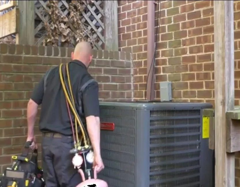 Slide of Ester Pros Growing