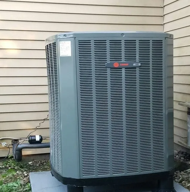 Slide of Ester Pros Growing