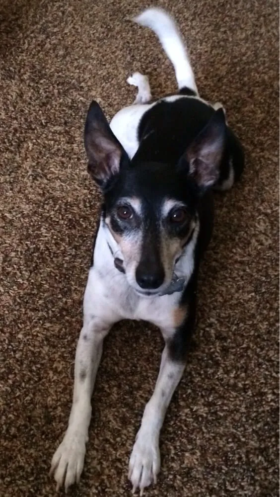 Slide of Eureka Heating and Cooling