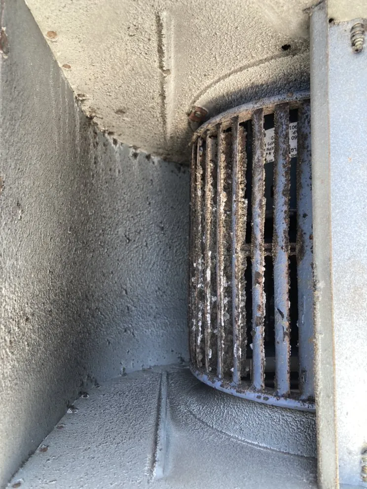 Slide of Euro Comfort Zone