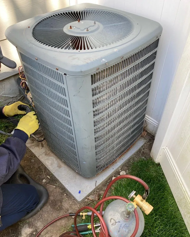 Slide of Euro Comfort Zone