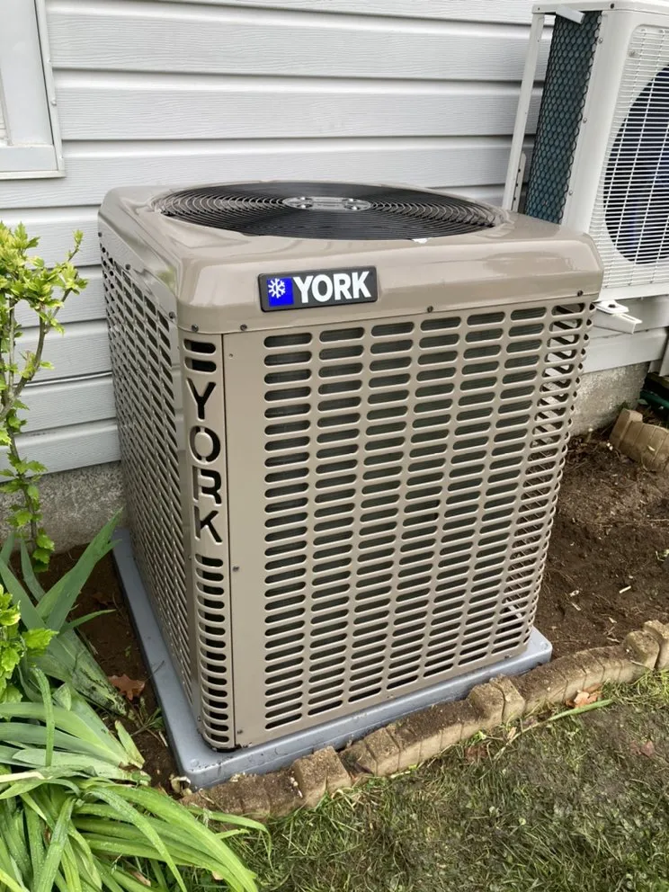 Slide of Euro Comfort Zone